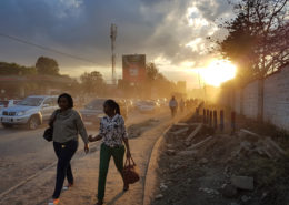 Business and private sector development